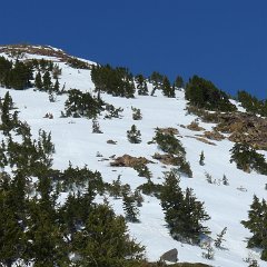 Lassen 077.JPG